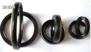 進口骨架油封 品質與供應的完美結合